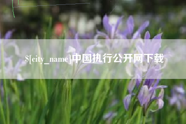 荆门中国执行公开网下载