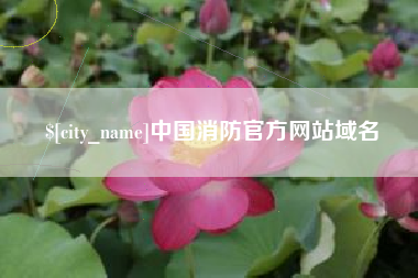 荆门中国消防官方网站域名