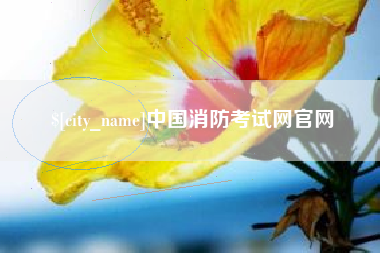 荆门中国消防考试网官网