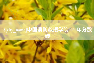 荆门中国消防救援学院2020年分数线