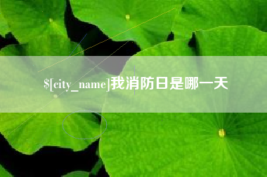 荆门我消防日是哪一天
