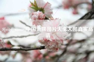 荆门中国金牌图片大全大图真实高清