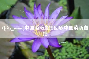 荆门中国消防直播回放中国消防直播