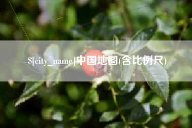 荆门中国地图(含比例尺)