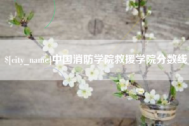 荆门中国消防学院救援学院分数线