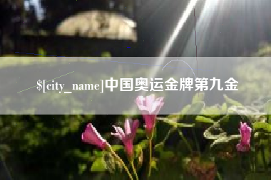 荆门中国奥运金牌第九金