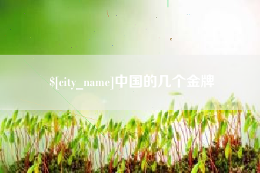 荆门中国的几个金牌