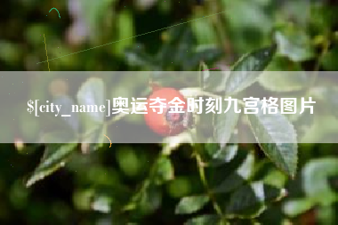荆门奥运夺金时刻九宫格图片