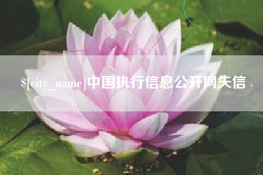 荆门中国执行信息公开网失信