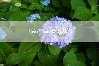 荆门2022九宫