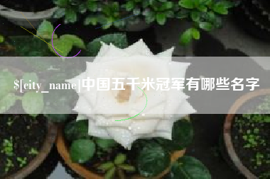 荆门中国五千米冠军有哪些名字
