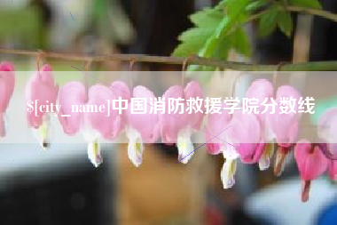 荆门中国消防救援学院分数线