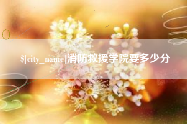 荆门消防救援学院要多少分
