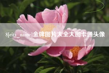 荆门金牌图片大全大图卡通头像