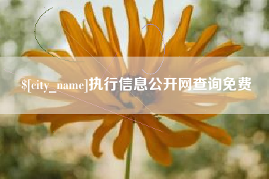 荆门执行信息公开网查询免费