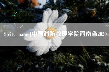 荆门中国消防救援学院河南省2020